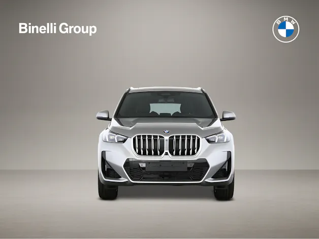 BMW X1 23i xDrive paddles
