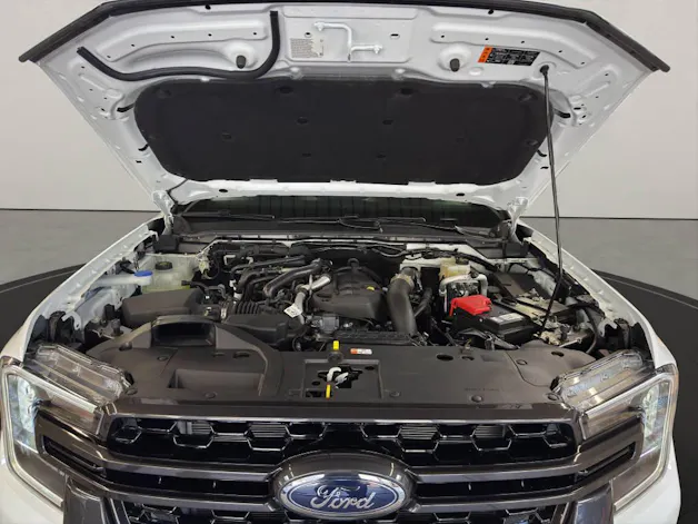 Ford Ranger DKab.Pick-up 2.0 EcoBlue 4x4 Wildtrak