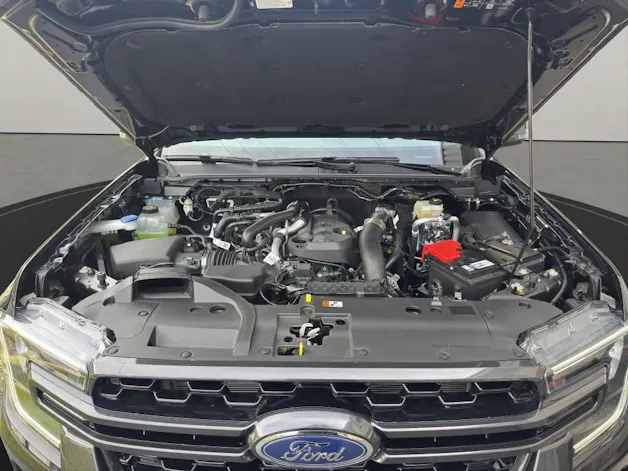 Ford Ranger DKab.Pick-up 2.0 EcoBlue 4x4 Wildtrak