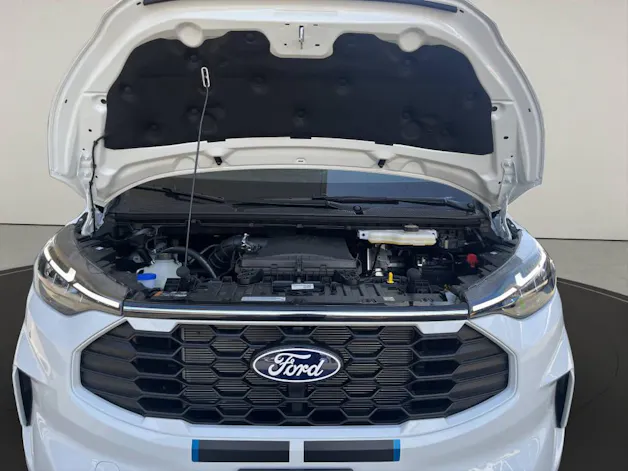 FORD Tourneo C Bus 320 L1 2.0 EcoBlue 170 Sport 4x4