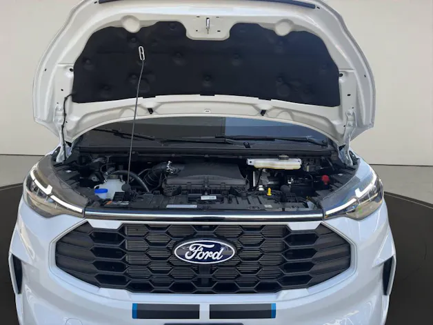 FORD Tourneo C Bus 320 L1 2.0 EcoBlue 170 Sport 4x4