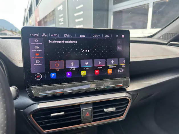 Cupra Formentor 2.0 TSI VZ 4Drive DSG - CH