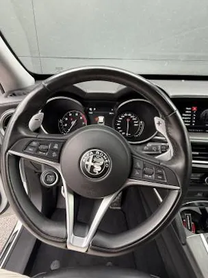Alfa Romeo Stelvio 2.0 Executive Q4