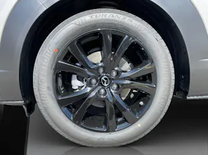 MAZDA CX-30 SKYACTIV-X 186 M Hybrid Homura AWD AT