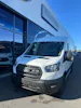 FORD Transit van 350 L3H2 2.0 EcoBl Trend/165CV/HD/Aut.