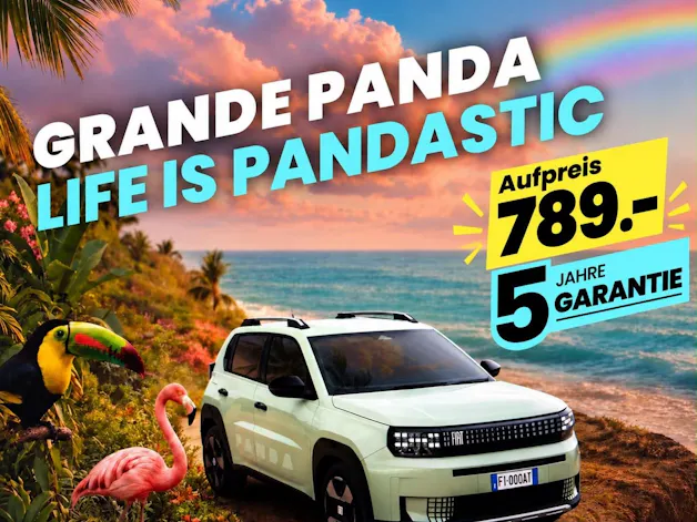 FIAT GRANDE PANDA