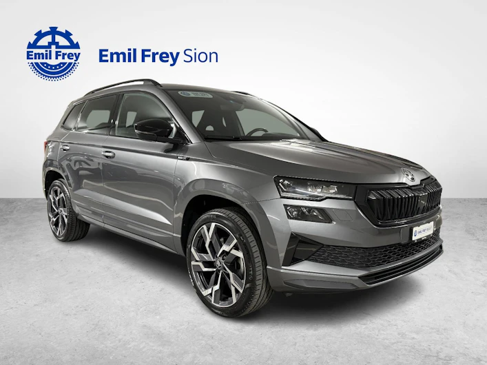 Fahrzeugbild SKODA KAROQ