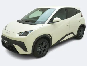 BYD Dolphin Surf Comfort