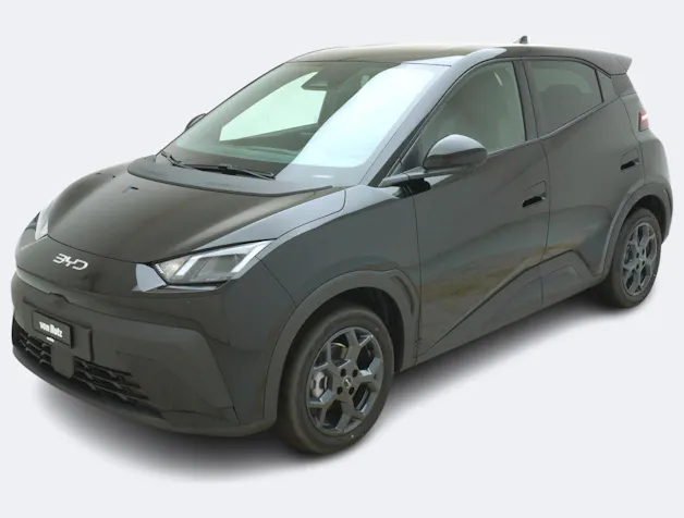 BYD Dolphin Surf Comfort