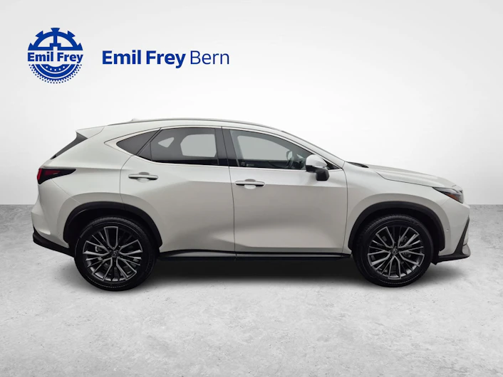 Fahrzeugbild LEXUS NX