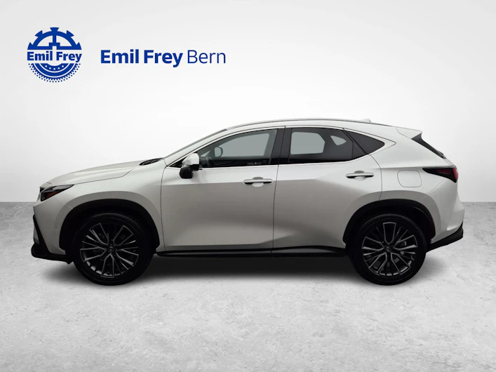 Fahrzeugbild LEXUS NX