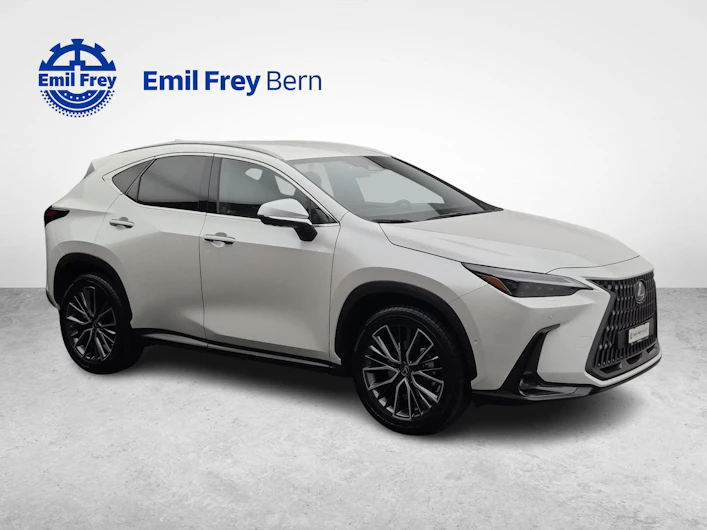 Fahrzeugbild LEXUS NX