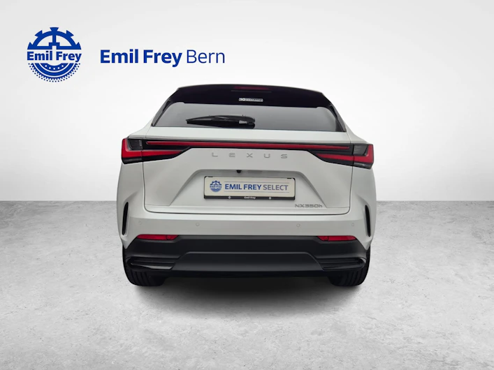 Fahrzeugbild LEXUS NX