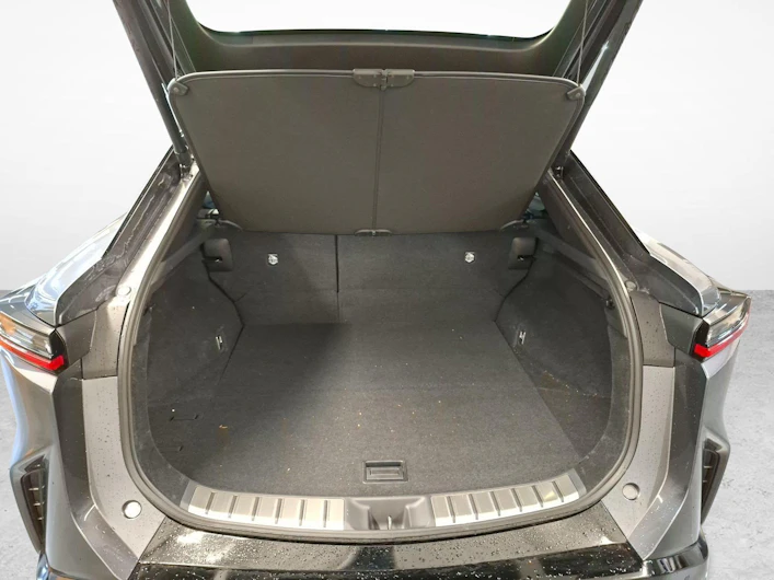 Fahrzeugbild LEXUS RZ