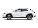 Lexus UX 300h F-Line