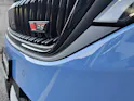 Škoda Skoda Octavia RS 30 Years Edition