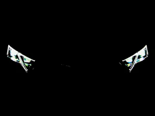 Škoda Octavia 2.0 TSI RS DSG