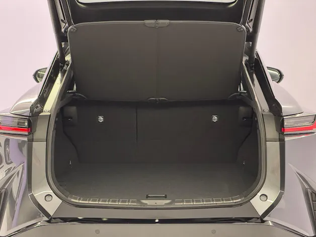 Lexus RZ 500e Excellence AWD
