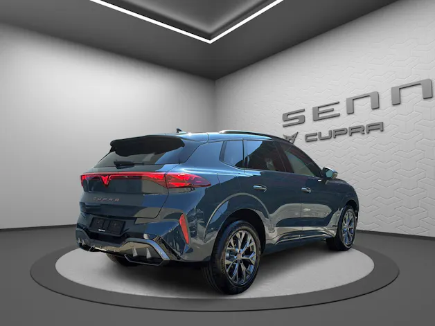 CUPRA Terramar 2.0 TSI DSG 4Drive