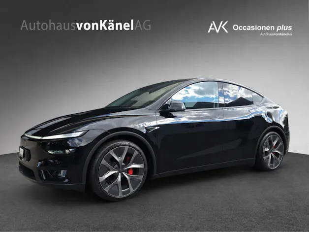 Tesla Model Y Performance