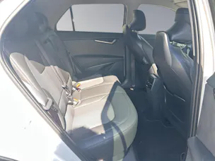 Kia Niro EV Business