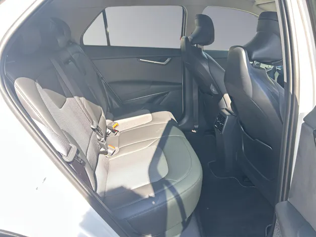 Kia Niro EV Business