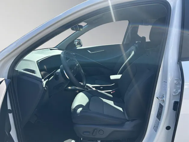 Kia Niro EV Business