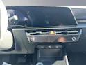 Kia Niro EV Business