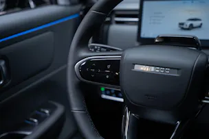 JAECOO 7 1.5TGDI HEV Exclusive DCT / Panorama-Schiebedach / Head-Up Display / 360° Kamera
