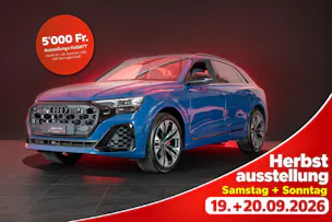 AUDI Q8 SUV 3.0 50 TDI quattro T-Tronic / S-Line / Panorama / 360°Kamera / Audi-Exclusive