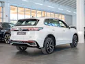 VW Tiguan 2.0 TSI R-Line DSG 4motion / Rückfahrkamera / Massagesitze / Ambientebeleuchtung