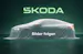 SKODA Octavia Combi 2.0 TSI DSG RS 30 Years Edition