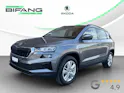 SKODA Karoq 2.0 TDI CR Selection 4x4 DSG