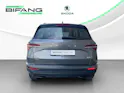 SKODA Karoq 2.0 TDI CR Selection 4x4 DSG