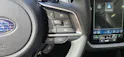 Subaru Crosstrek 2.0i e-Boxer Swiss Plus