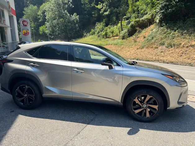 Lexus NX 300h Comfort E-Four Automatic