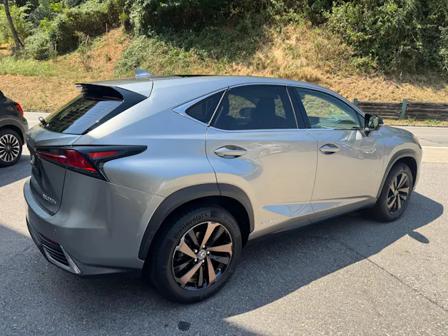 Lexus NX 300h Comfort E-Four Automatic
