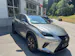 Lexus NX 300h Comfort E-Four Automatic