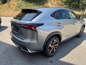 Lexus NX 300h Comfort E-Four Automatic