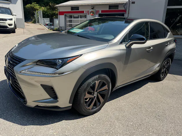 Lexus NX 300h Comfort E-Four Automatic