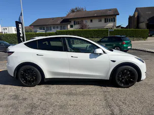 Tesla Model Y RWD