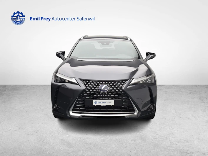 Fahrzeugbild LEXUS UX