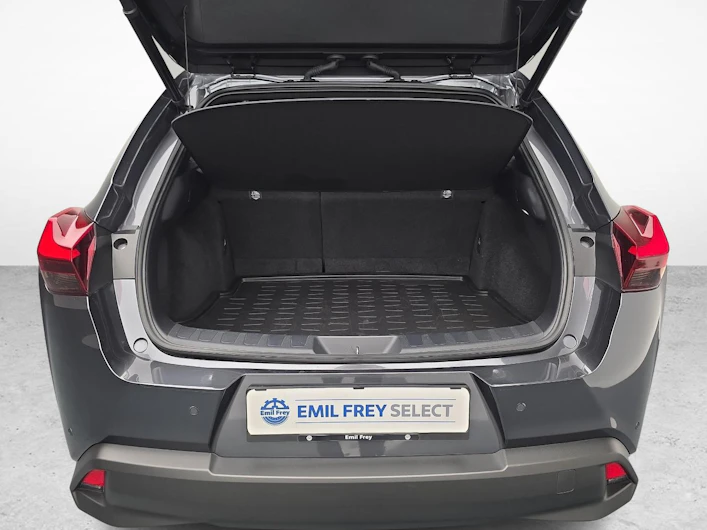 Fahrzeugbild LEXUS UX