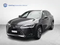 Lexus UX 300e Excellence
