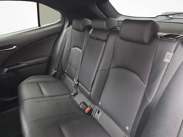 Lexus UX 300e Excellence