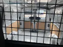 Toyota PROACE Van L2 75KWh Active