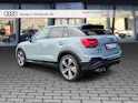 AUDI SQ2 TFSI quattro S-tronic Pfeilgrau Perleffekt