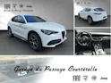 ALFA ROMEO Stelvio 2.0 Veloce Q4