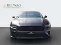 FORD Mustang Convertible 5.0/450 V8 GT