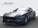 FORD Mustang Convertible 5.0/450 V8 GT